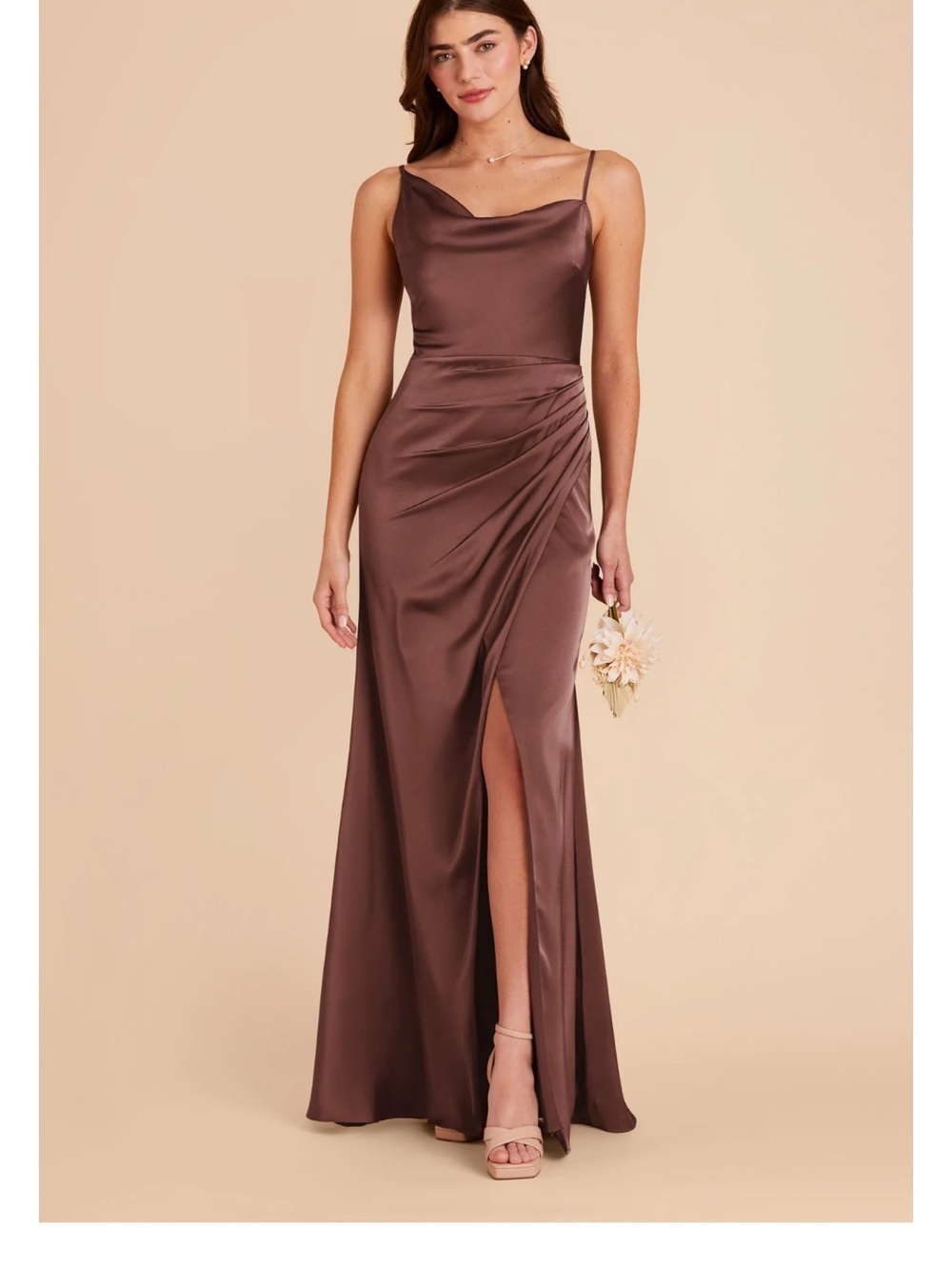Birdy Grey Jennifer Dress in Chocolate Brown